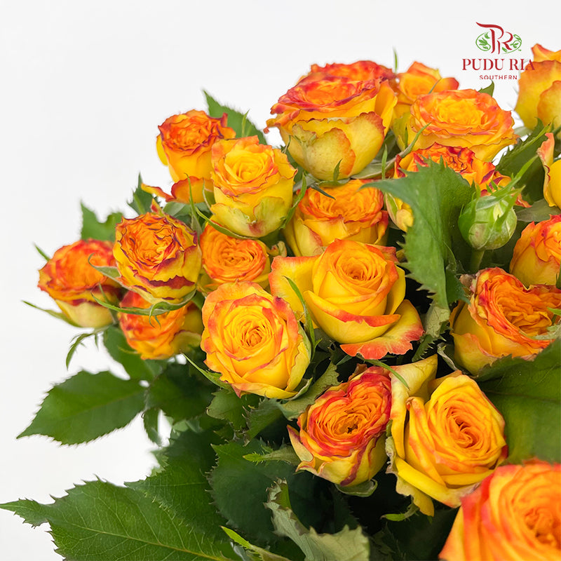Rose Spray Eyeline - (8-10 Stems)
