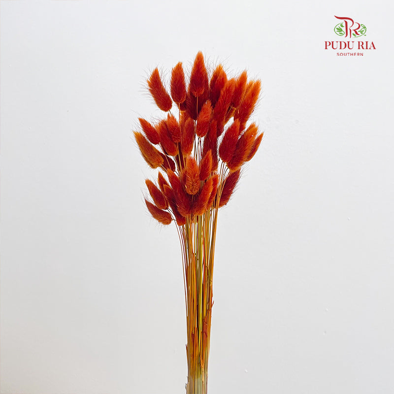 Dry Bunny Tails - Burnt Orange