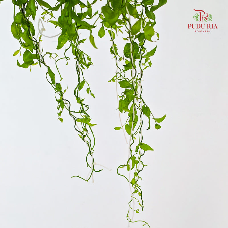 Smilax - (Per Bundle)