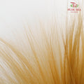 Dry Barba Bleached - Pudu Ria Florist Southern