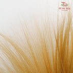 Dry Barba Bleached - Pudu Ria Florist Southern