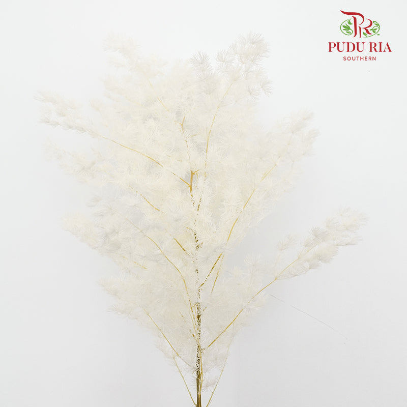 Preservative Asparagus Fern White - Pudu Ria Florist Southern