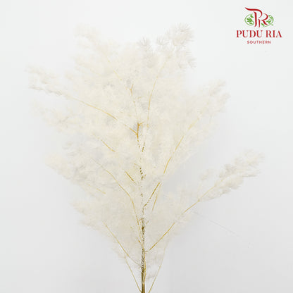 Preservative Asparagus Fern White - Pudu Ria Florist Southern