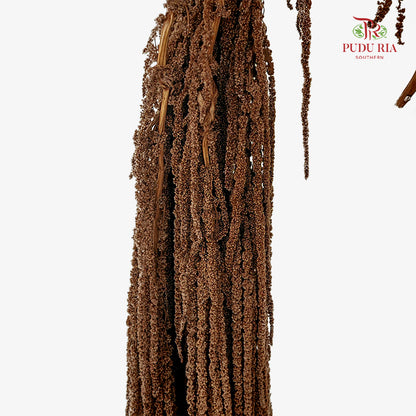 Preservative Amaranthus Brown