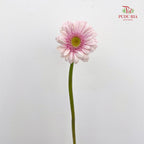 Gerbera Davina - (8-10 Stems)