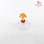 4' U Gardening Miniature Gold