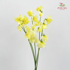 Sweet Pea Yellow 香豌豆 - (5 Stems)