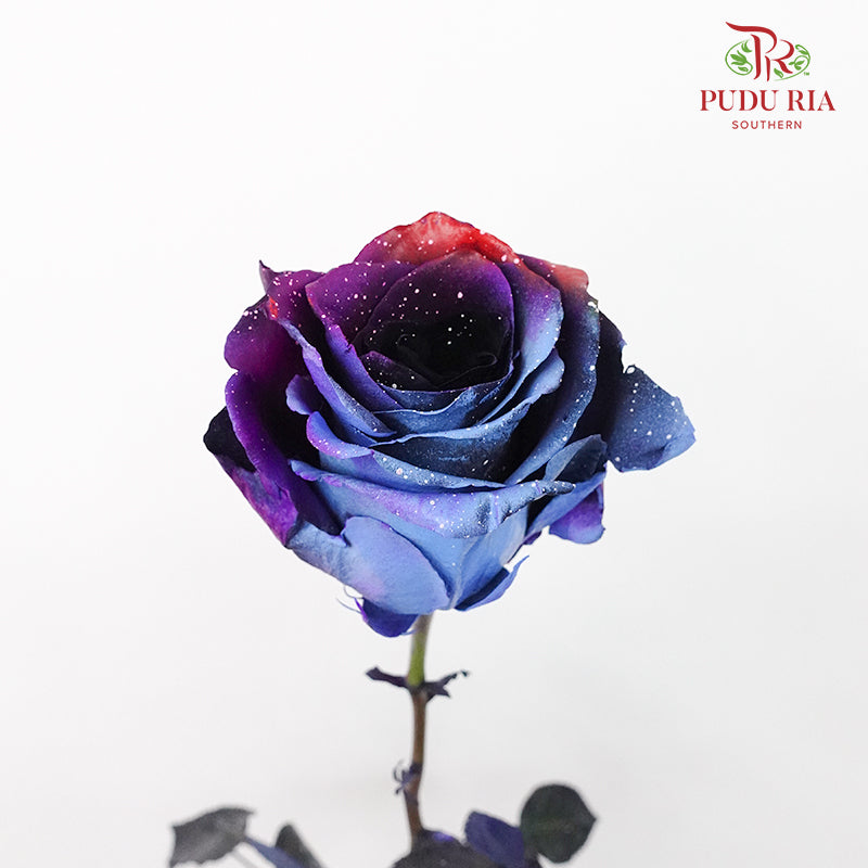 Rose Mondial Dyed Starry Nebula (8-10 Stems) - Pudu Ria Florist Southern