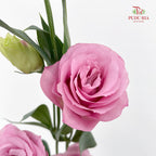 Eustoma Pink 洋桔梗 - (12-15 Stems)