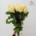 Rose Warm Jade - (8-10 Stems)