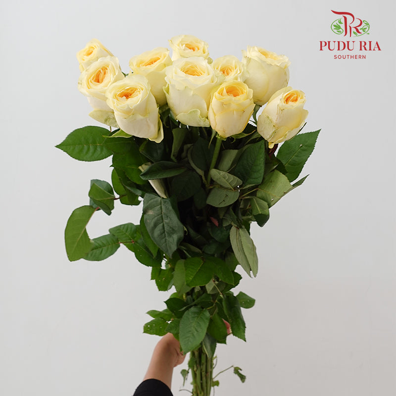Rose Warm Jade - (8-10 Stems)