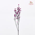 Dry Stirlingia - Purple