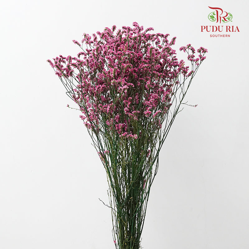 Dry Caspia - Hot Pink