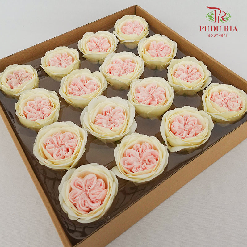 16 Bloom Austin Soap Flower Baby Pink & Yellow - FBA088#5