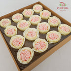 16 Bloom Austin Soap Flower Baby Pink & Yellow - FBA088#5