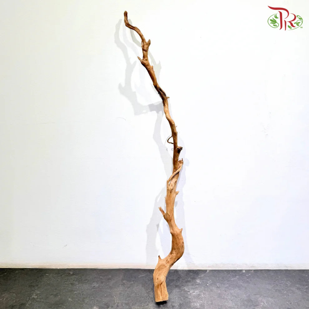 FINE DUJUANGEN ROOT 精品杜鹃根 1KG