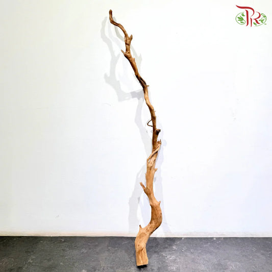 FINE DUJUANGEN ROOT 精品杜鹃根 1KG