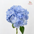 Hydrangea Blue 绣球花 - (Per Stem)