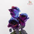 Rose Mondial Dyed Starry Nebula (8-10 Stems) - Pudu Ria Florist Southern