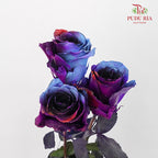 Rose Mondial Dyed Starry Nebula (8-10 Stems) - Pudu Ria Florist Southern