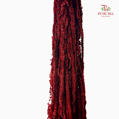 Preservative Amaranthus Maroon