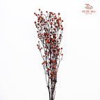 Dry Stirlingia - Light Orange