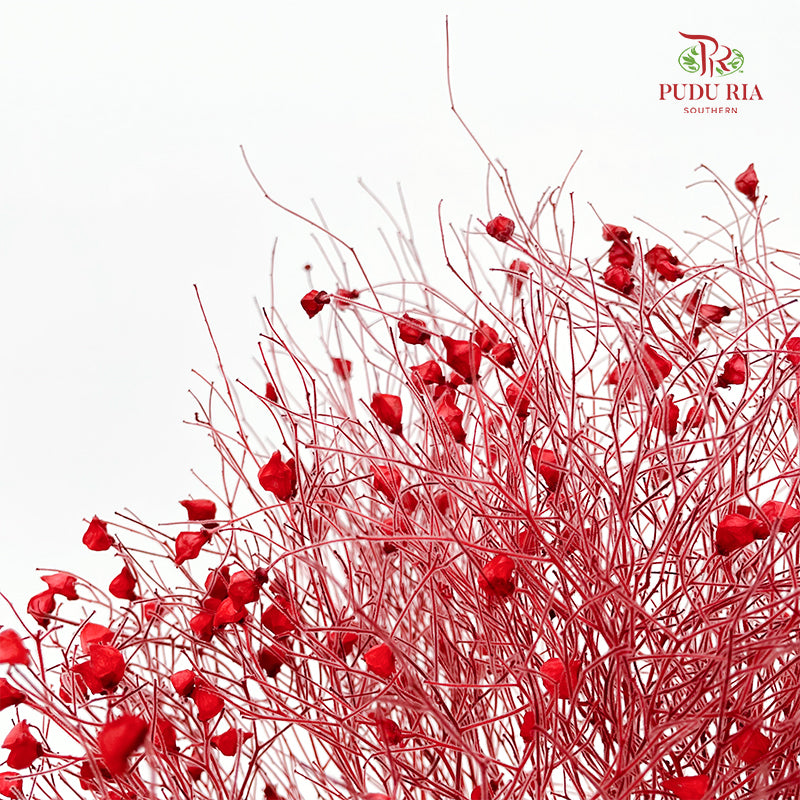 Dry Dream Grass Red