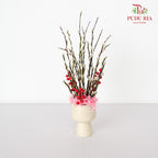 CNY Arrangement 2024#1