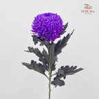 Peony Chrysanthemum Dyed Purple 牡丹菊 - (5 Stems)