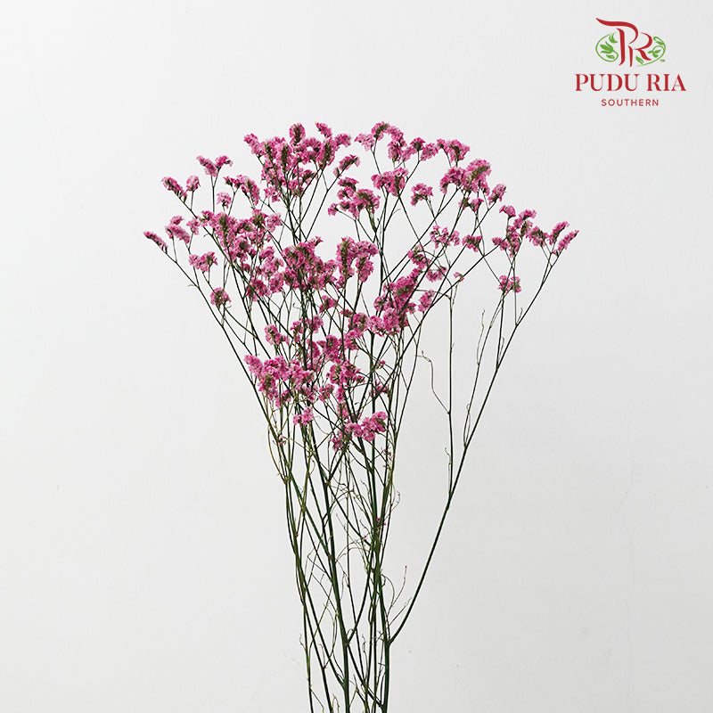 Dry Caspia - Hot Pink
