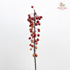 Malus Red - (Per Bundle)