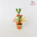 CNY Potted Plant Arrangement 2024#40