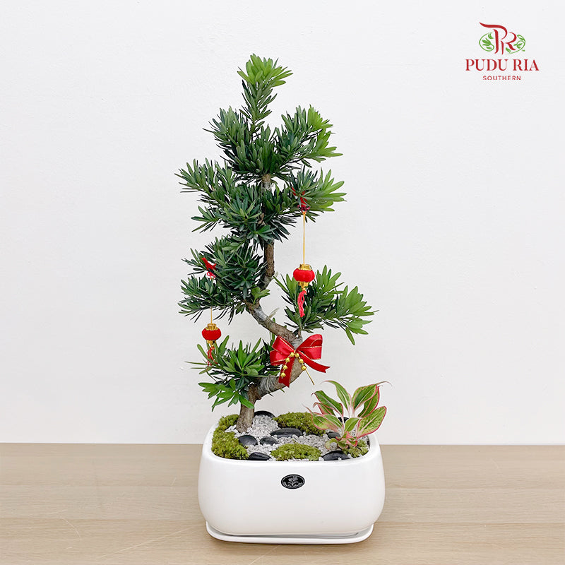 CNY Potted Plant Arrangement 2025#31