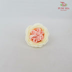 16 Bloom Austin Soap Flower Baby Pink & Yellow - FBA088#5