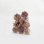 Pine Cone Na 5-6CM (10 Pcs)