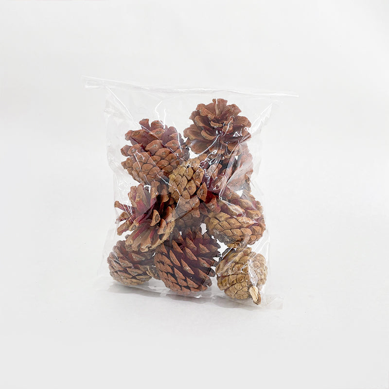 Pine Cone Na 5-6CM (10 Pcs)