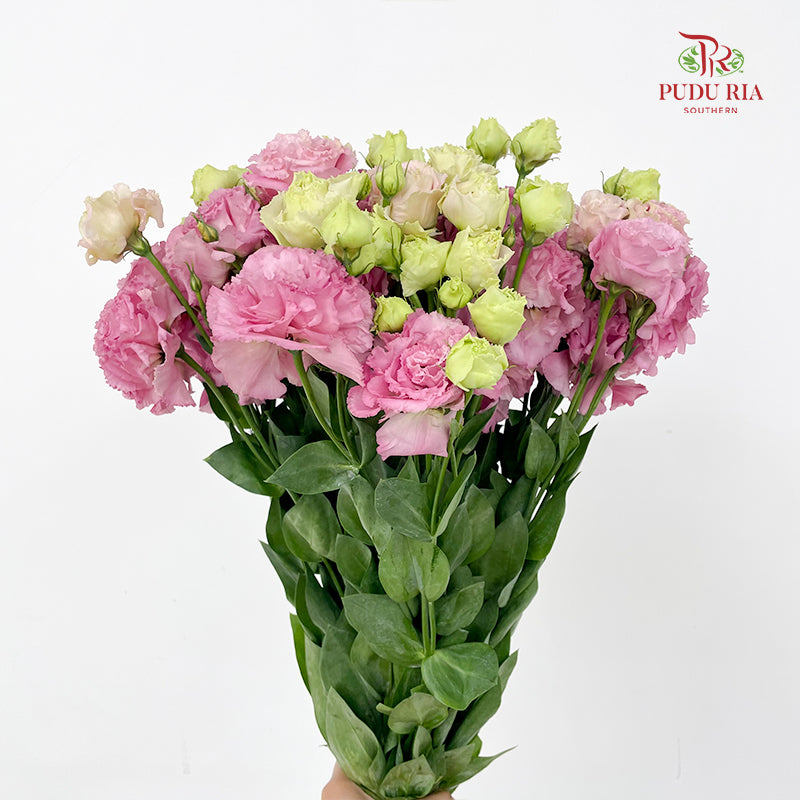 Eustoma Wave Pink - (12-15 Stems)