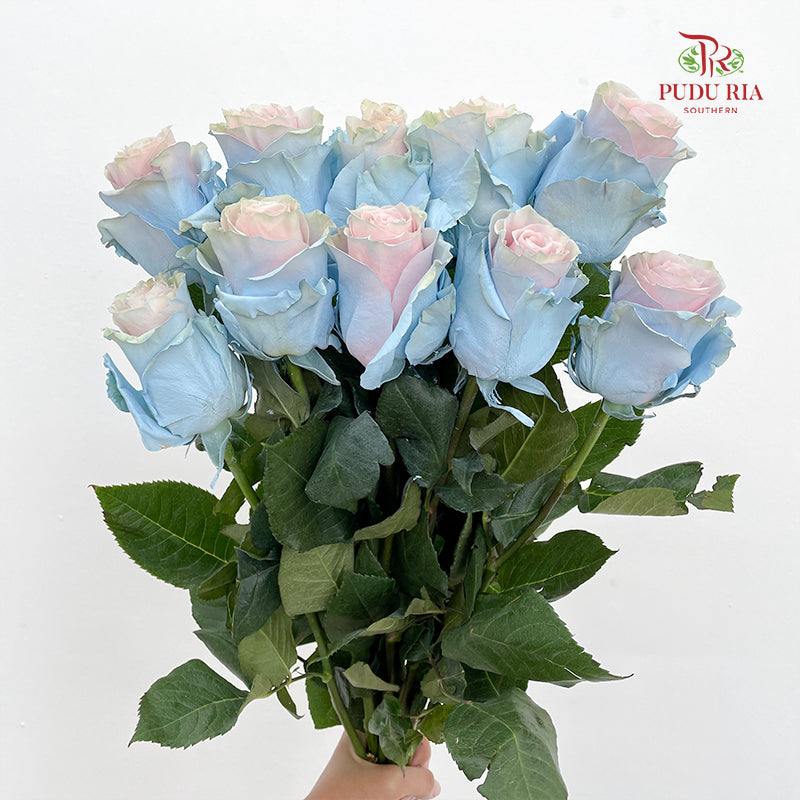 Rose Mondial Dyed Cinderella Star - (8-10 Stems)