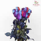 Rose Mondial Dyed Starry Nebula (8-10 Stems) - Pudu Ria Florist Southern