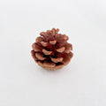 Pine Cone Na 5-6CM (10 Pcs)