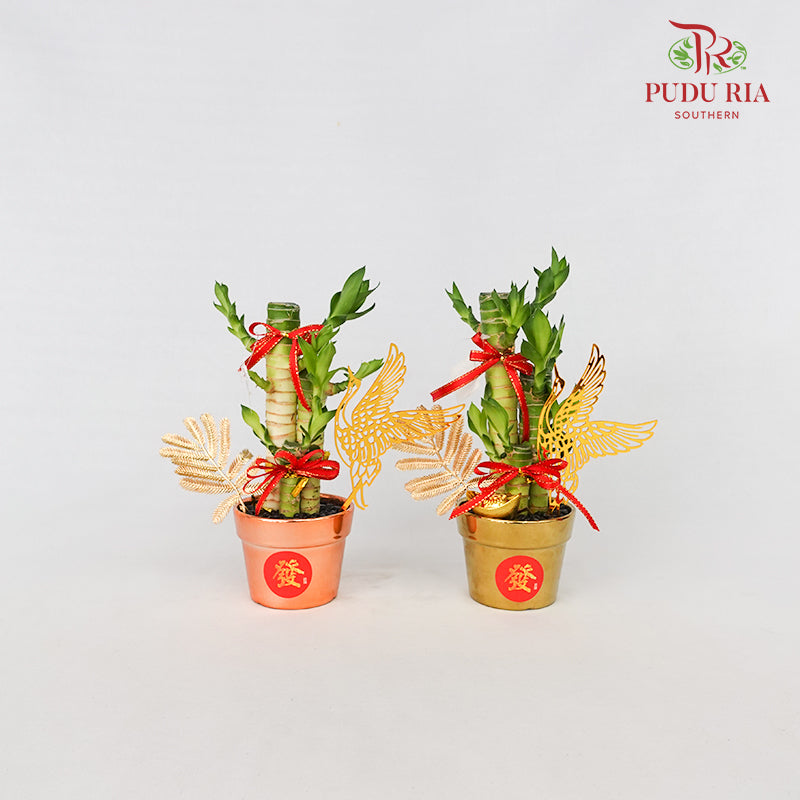 CNY Potted Plant Arrangement 2024#40