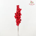 10' U Clump Ilex 21 cm