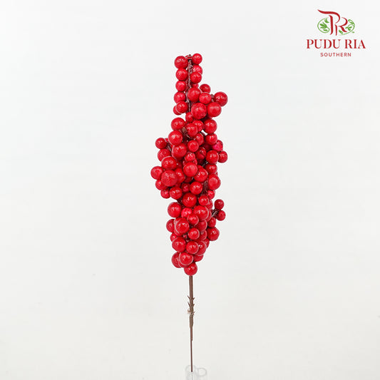 10' U Clump Ilex 21 cm