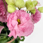 Eustoma Wave Pink - (12-15 Stems)