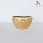 Yu-573 Gold Pot