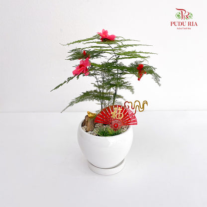 CNY Potted Plant Arrangement 2025#6