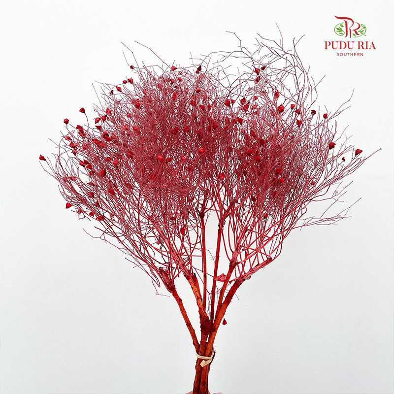 Dry Dream Grass Red