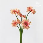 Gerbera Pasta Rosata - (5 Stems)