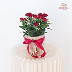 Hari Raya Arrangement - Danis Roses