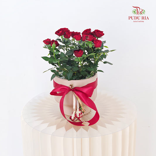 Hari Raya Arrangement - Danis Roses